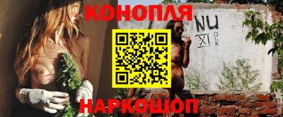 тгк Шелехов