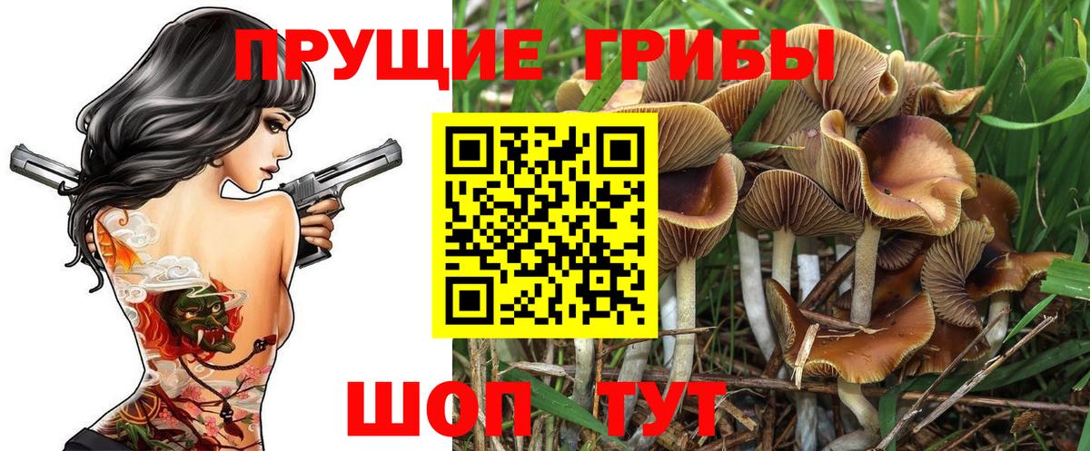цена   Псилоцибиновые грибы MAGIC MUSHROOMS  Вход с VPN  Набережные Челны 